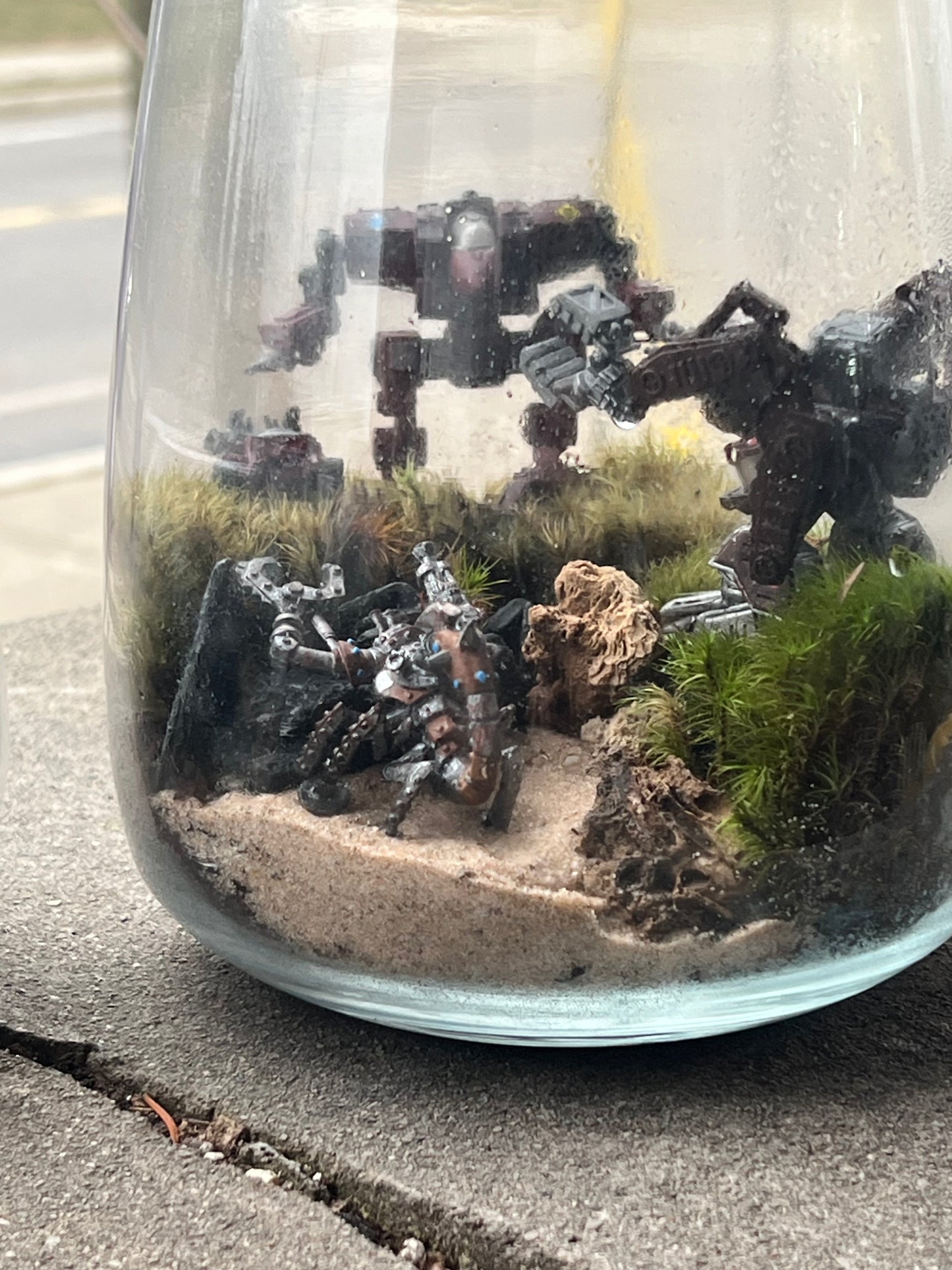 Terrarium Workshop - August 23