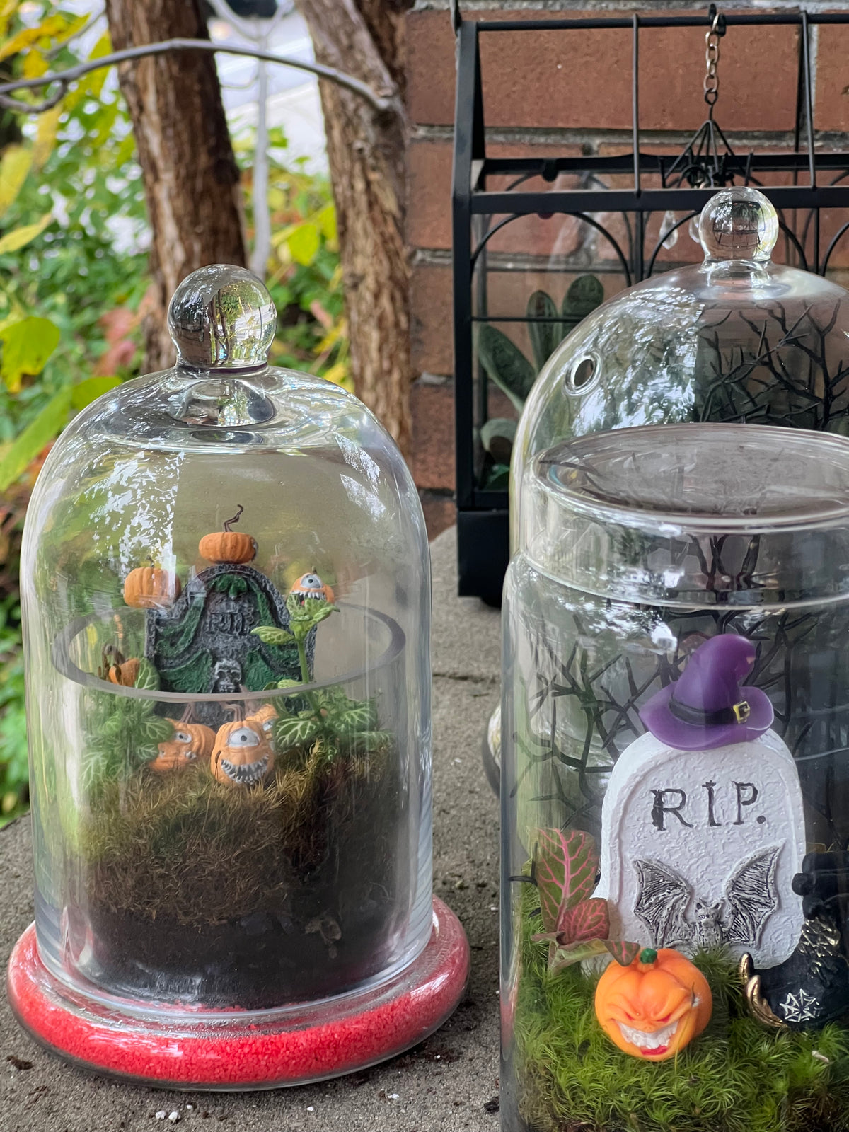 Halloween Terrarium Workshop - Sunday Oct 25