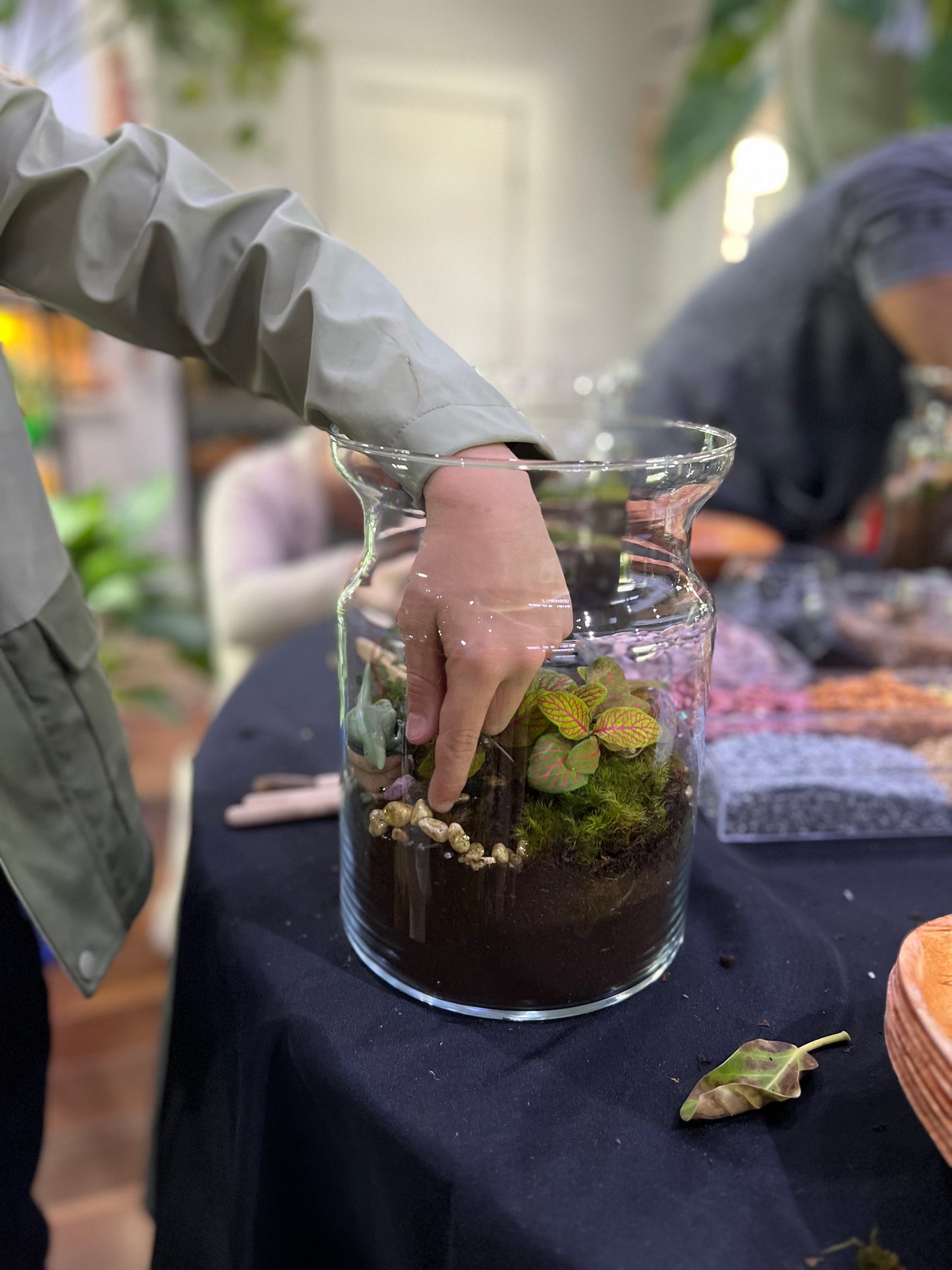 Terrarium Workshop - Sunday Oct 19