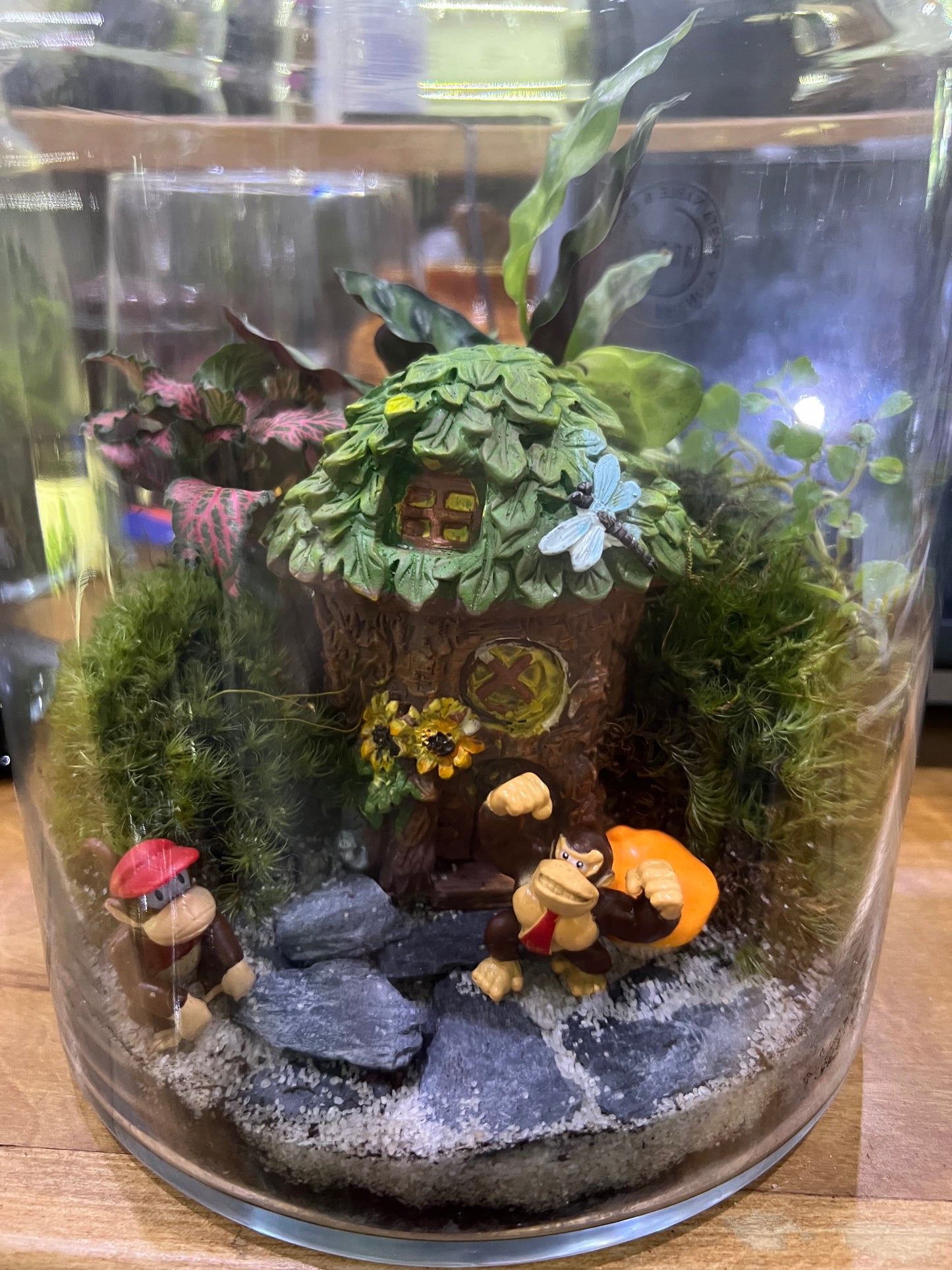 Terrarium Workshop - Sunday Oct 19