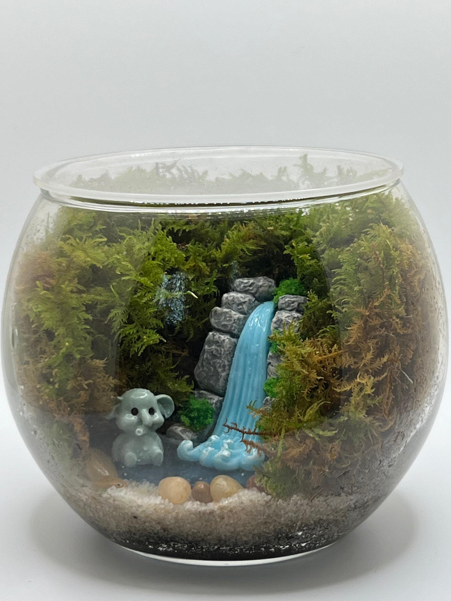 Succulent Garden Workshop - May 4th