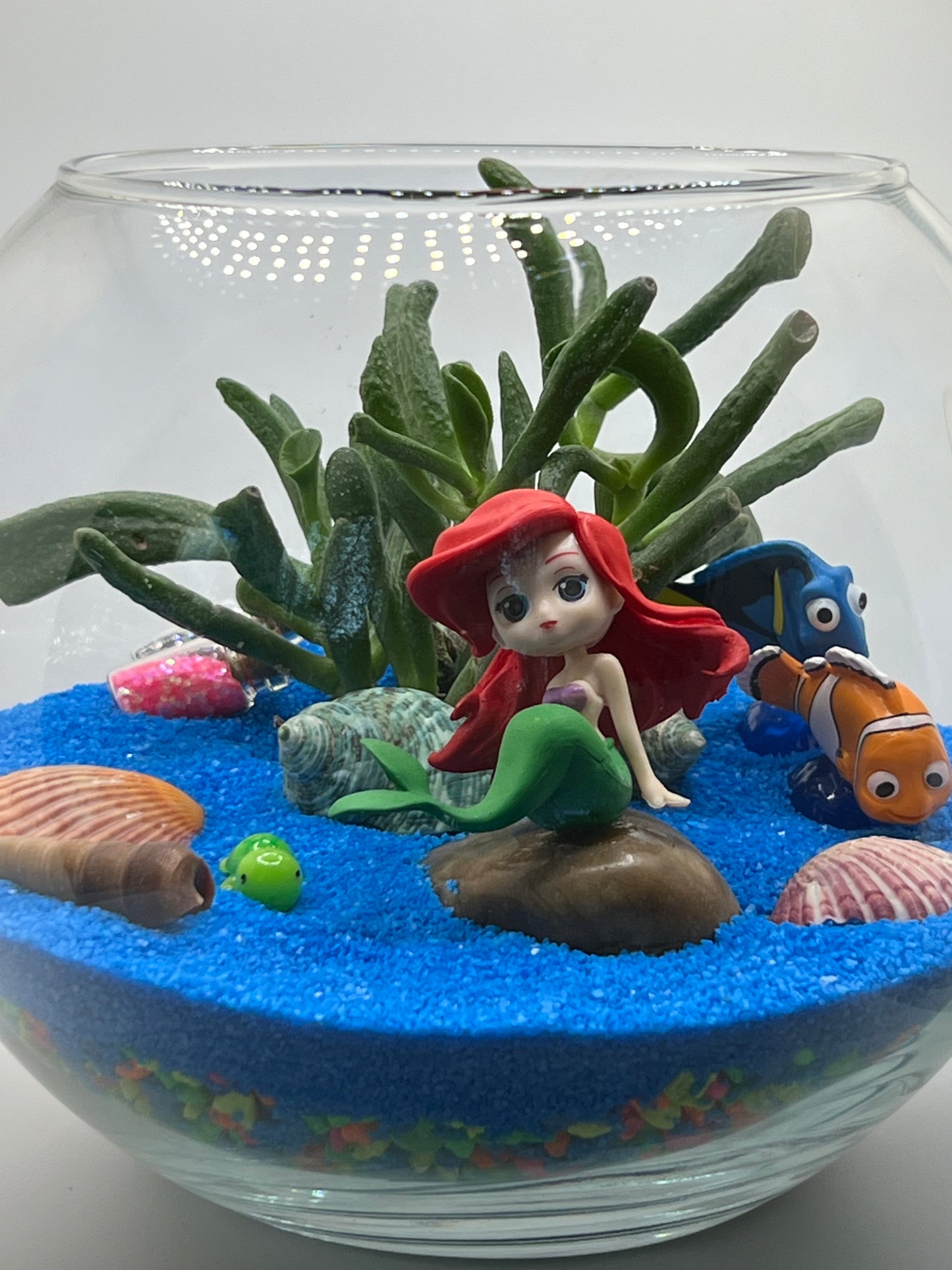 Succulent Garden Workshop - May 4th