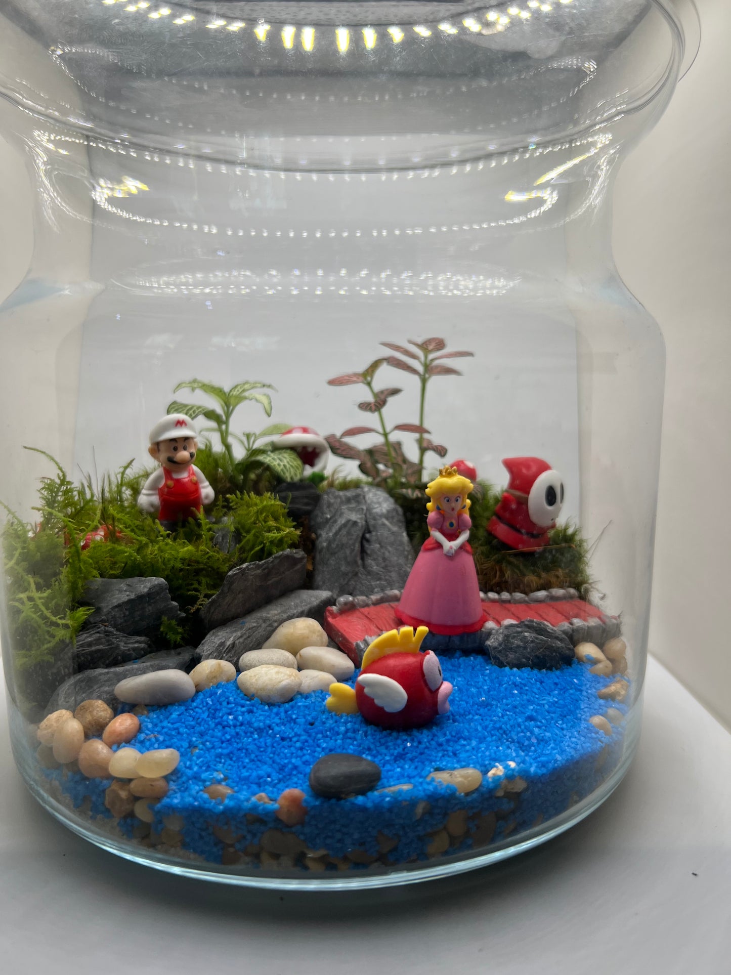 Succulent Garden Workshop - May 4th