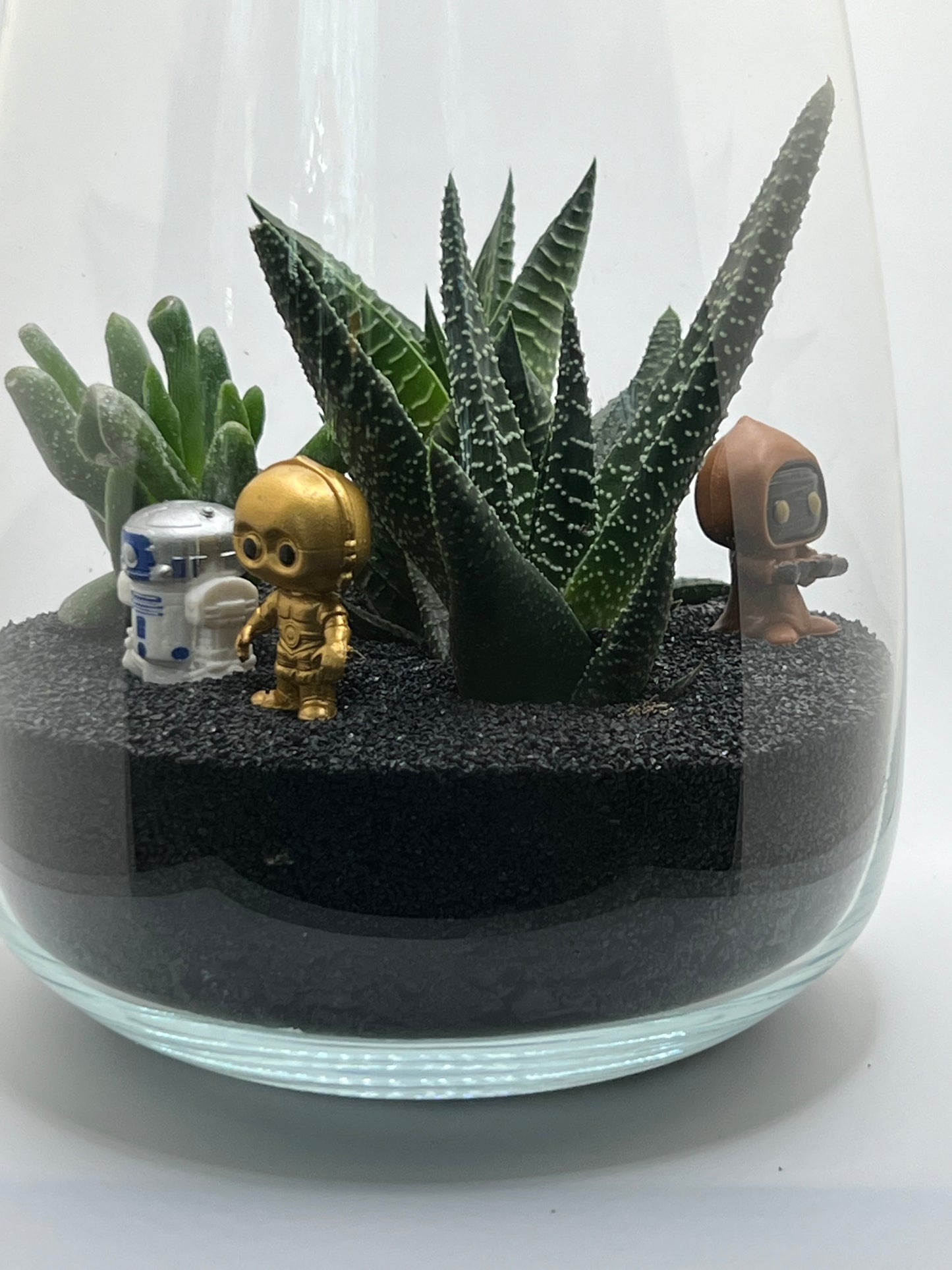 Succulent Garden Workshop - May 4th