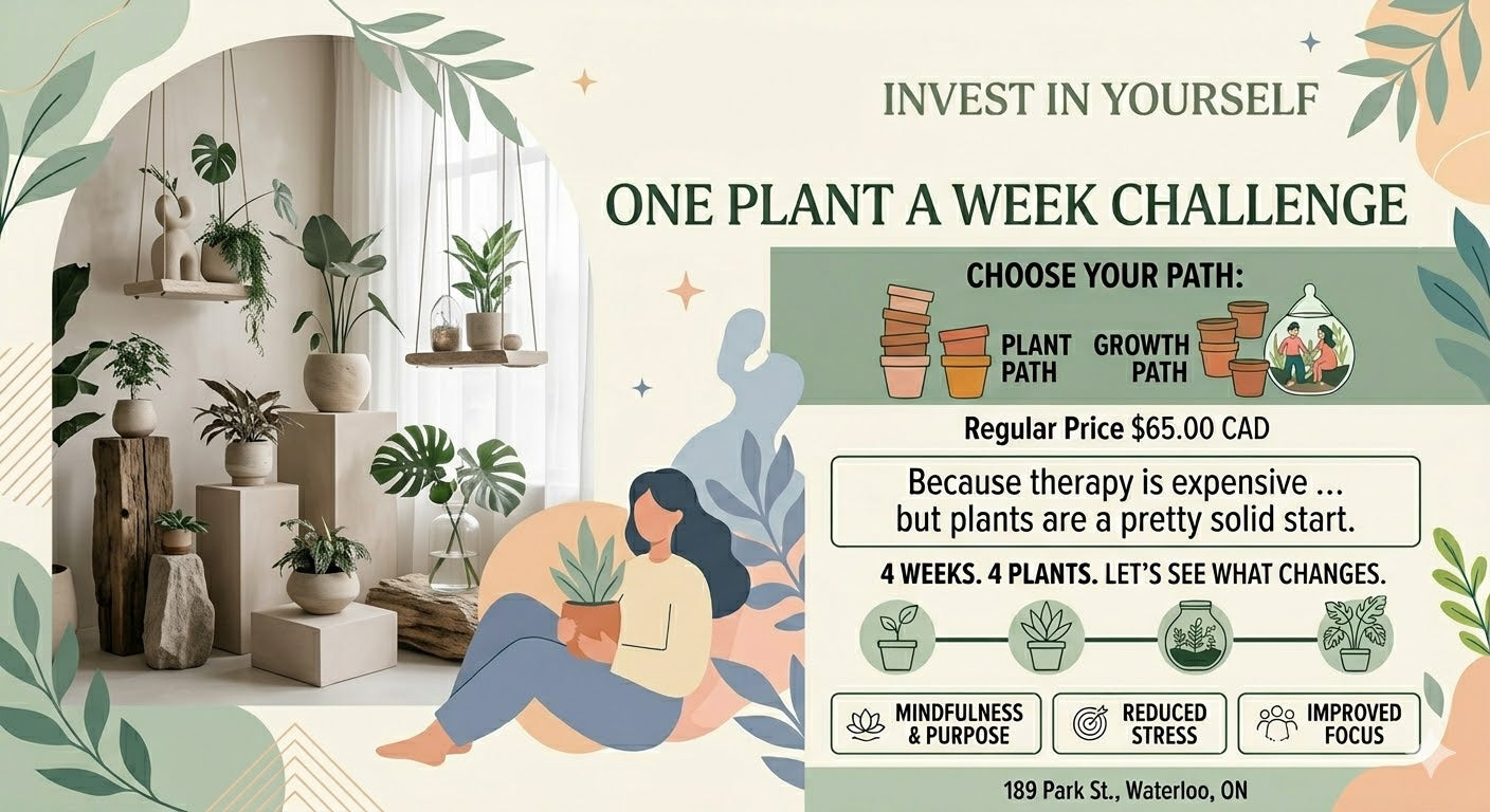 Invest in yourself One Plant a week challenge.