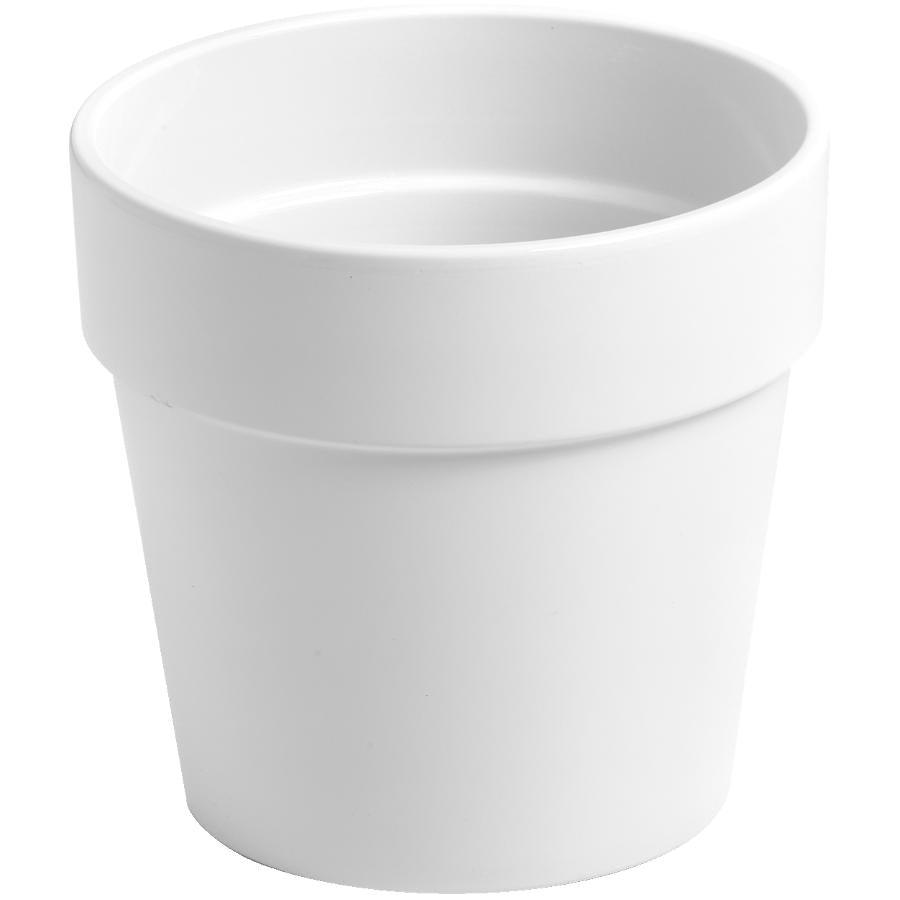 Pots of Paradise Collection - Gold Leaf Botanicals