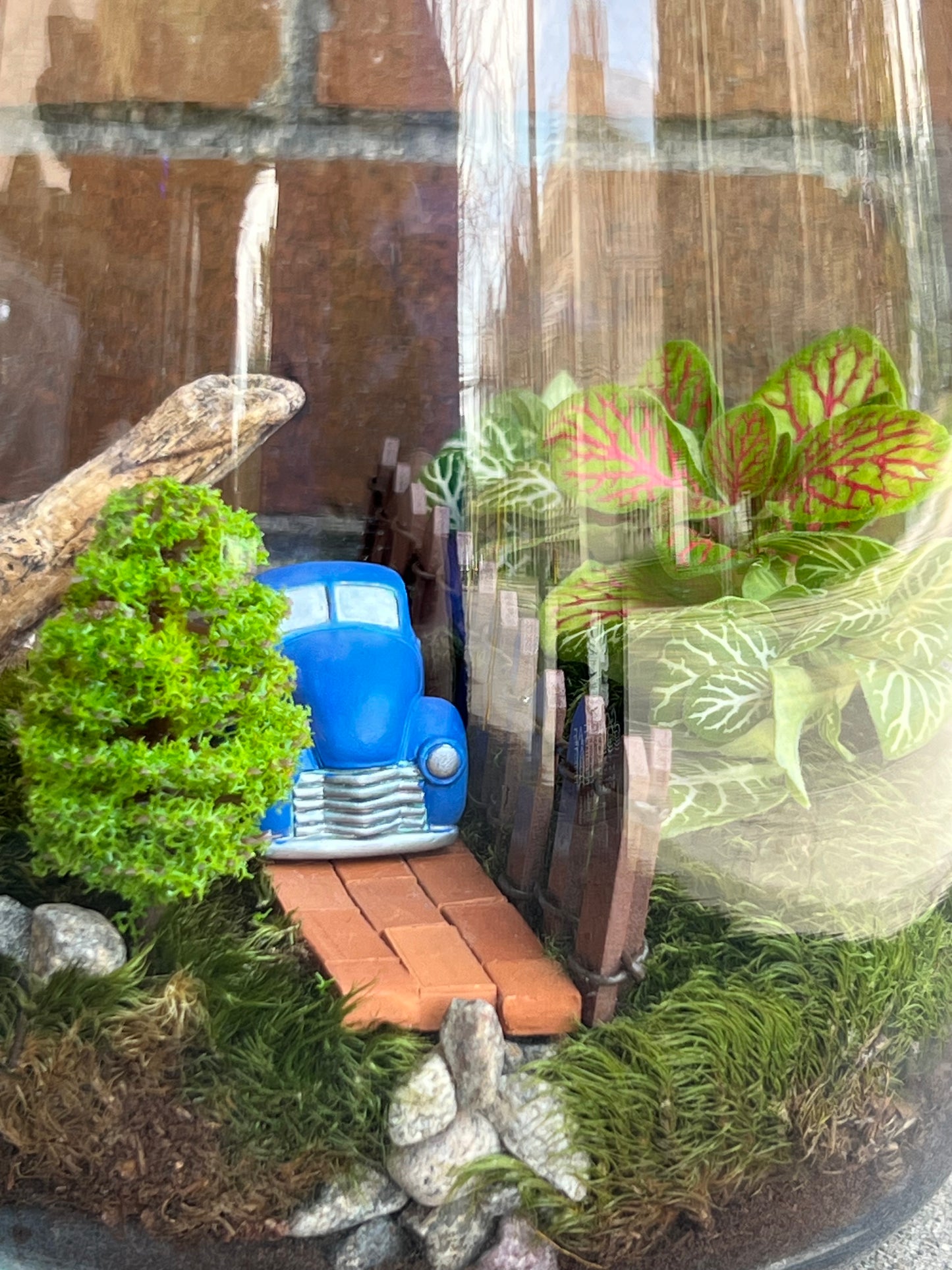 Terrarium Workshop  - August 23