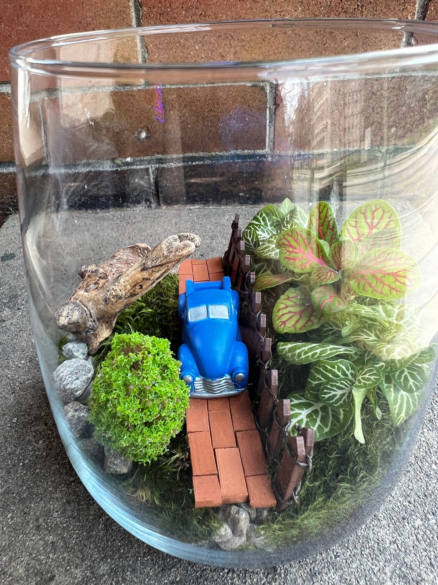 Terrarium Workshop  - August 23