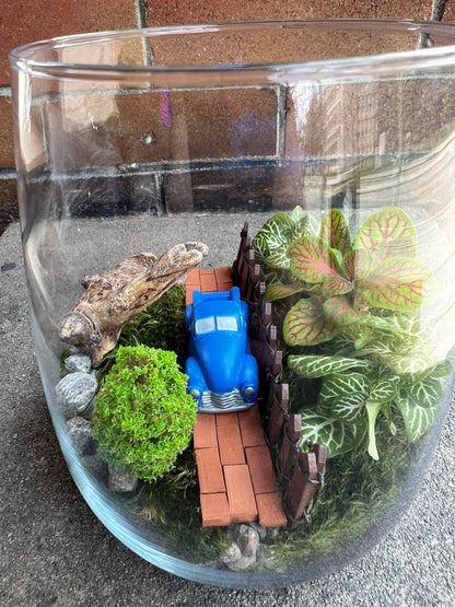 Terrarium Workshop  - August 23