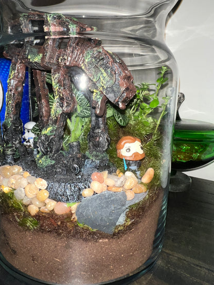 February Terrarium Workshop - Sunday Feb 9th