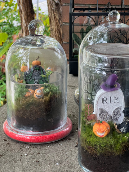 Halloween Terrarium Workshop - Sunday Oct 25
