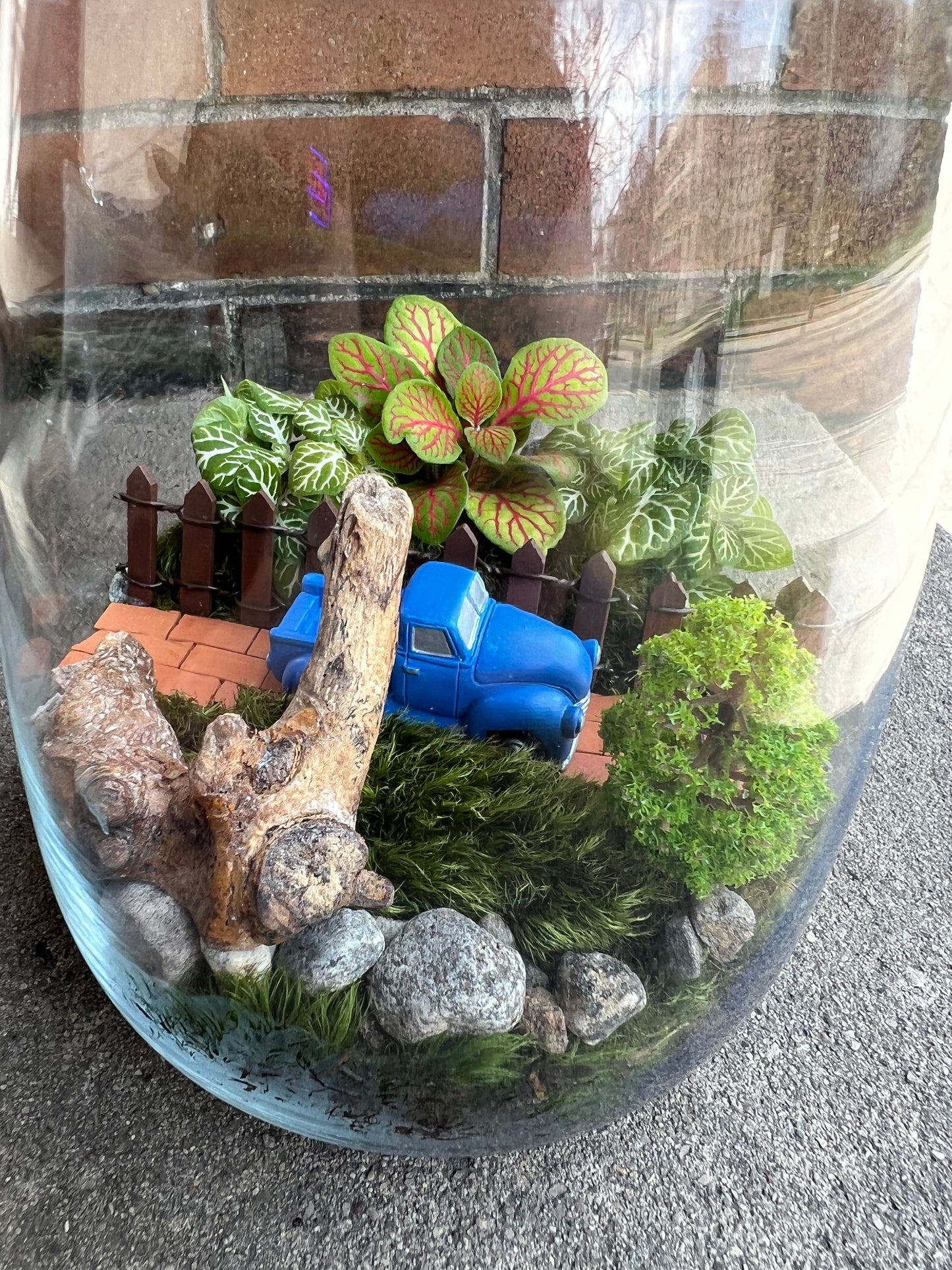 Terrarium Workshop  - August 23