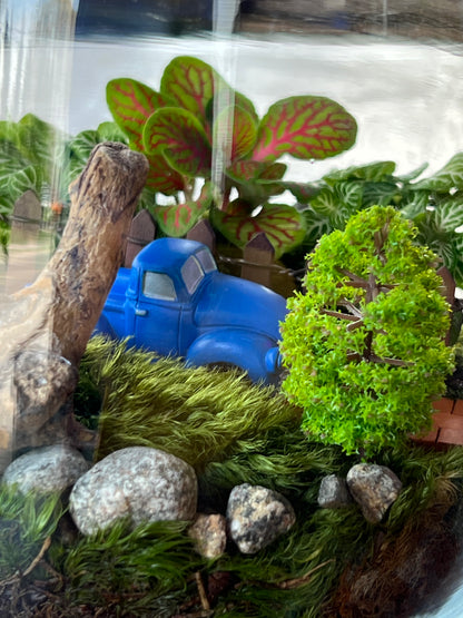 Terrarium Workshop  - August 23