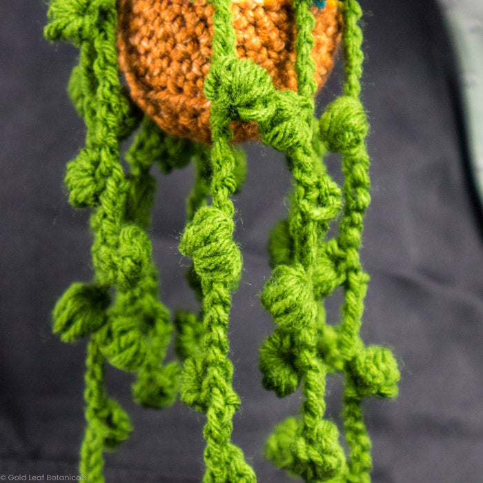 Crocheted Plant Accessories