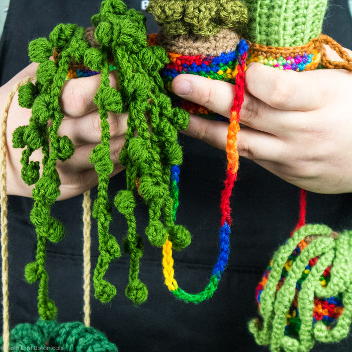 Crocheted Plant Accessories