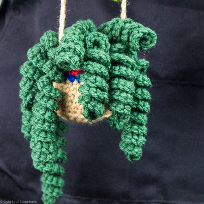 Crocheted Plant Accessories