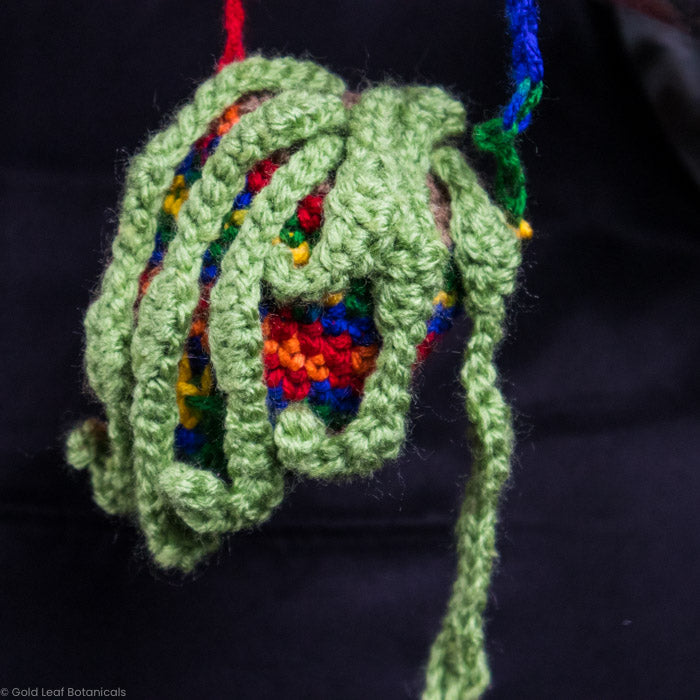 Crocheted Plant Accessories