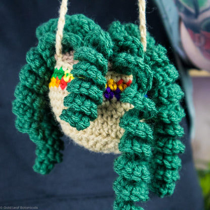 Crocheted Plant Accessories