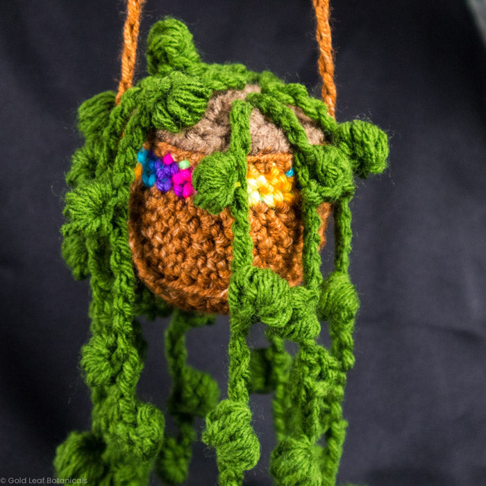 Crocheted Plant Accessories