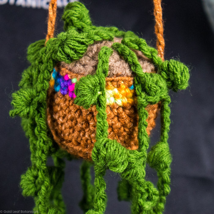 Crocheted Plant Accessories