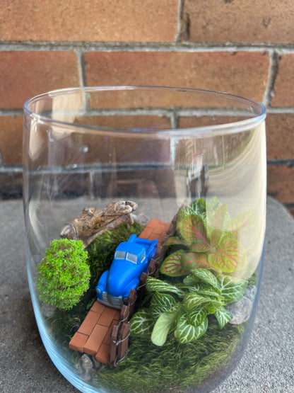 Terrarium Workshop  - August 23