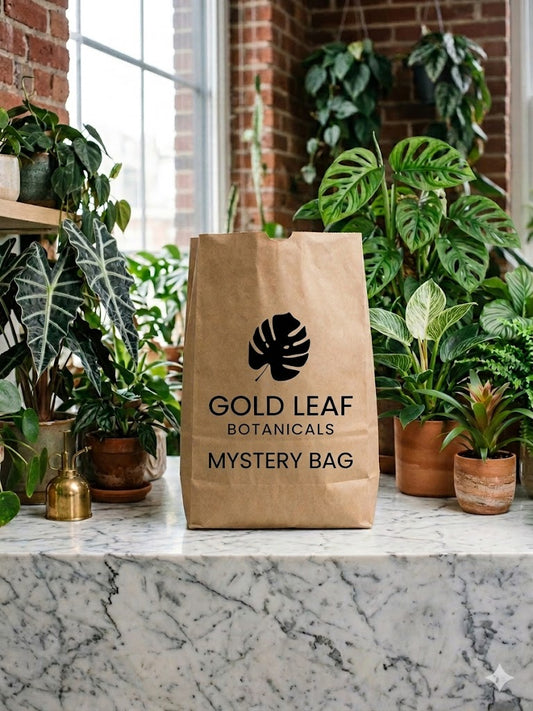 🕵️ Plant Mystery Bag