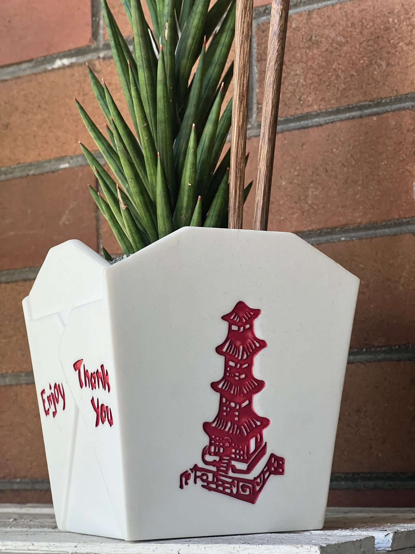 Sansevieria Francisii Spiky in resin Chinese Food takeout container 🥡