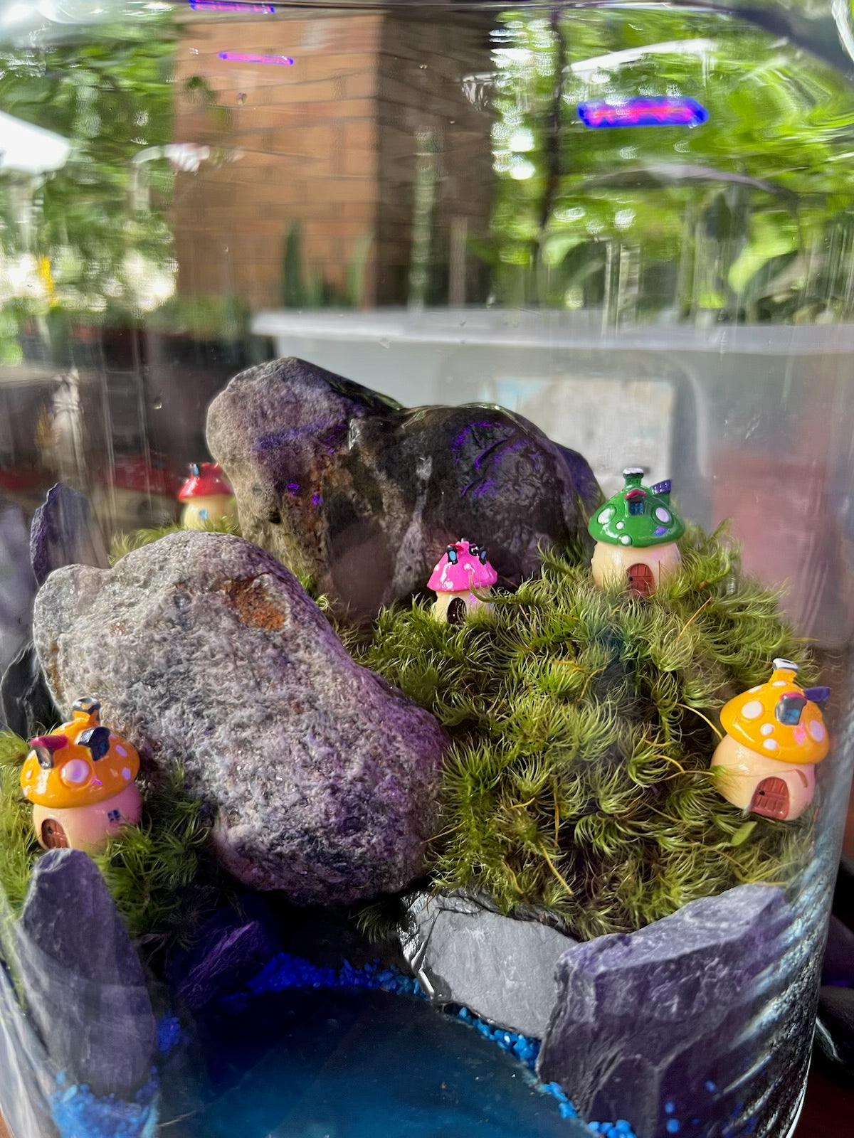 Halloween Terrarium Workshop - Sunday October 27th