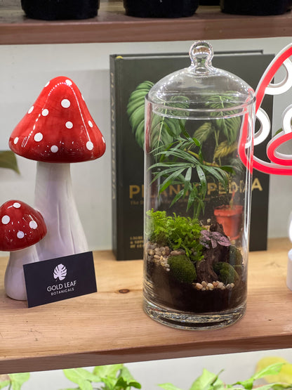 February Terrarium Workshop - Sunday Feb 9th