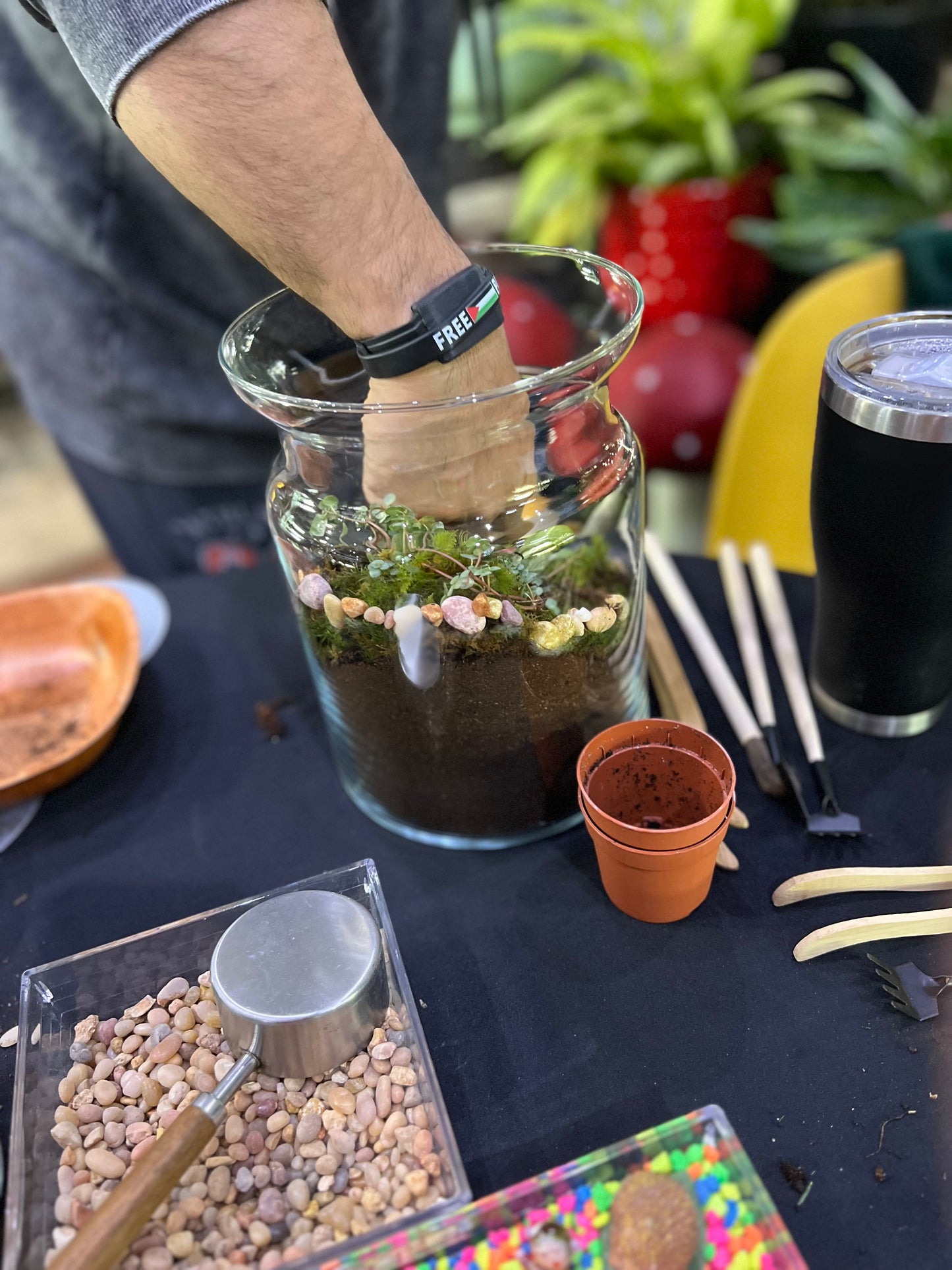 Terrarium Workshop - Sunday Oct 19