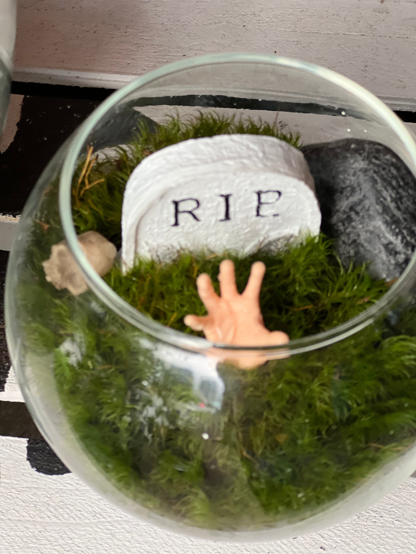 Terrarium Workshop - Sunday Oct 19