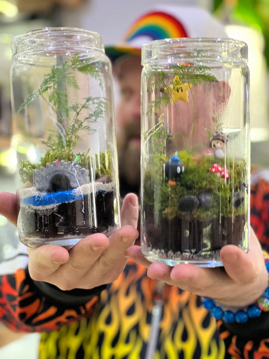 Terrarium Workshop - Sunday Oct 19