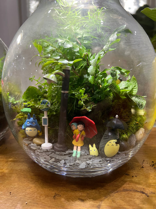 Terrarium Workshop  - August 23