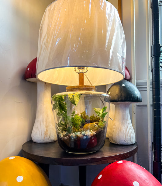Terrarium Lamp Workshop - Sunday June 22nd