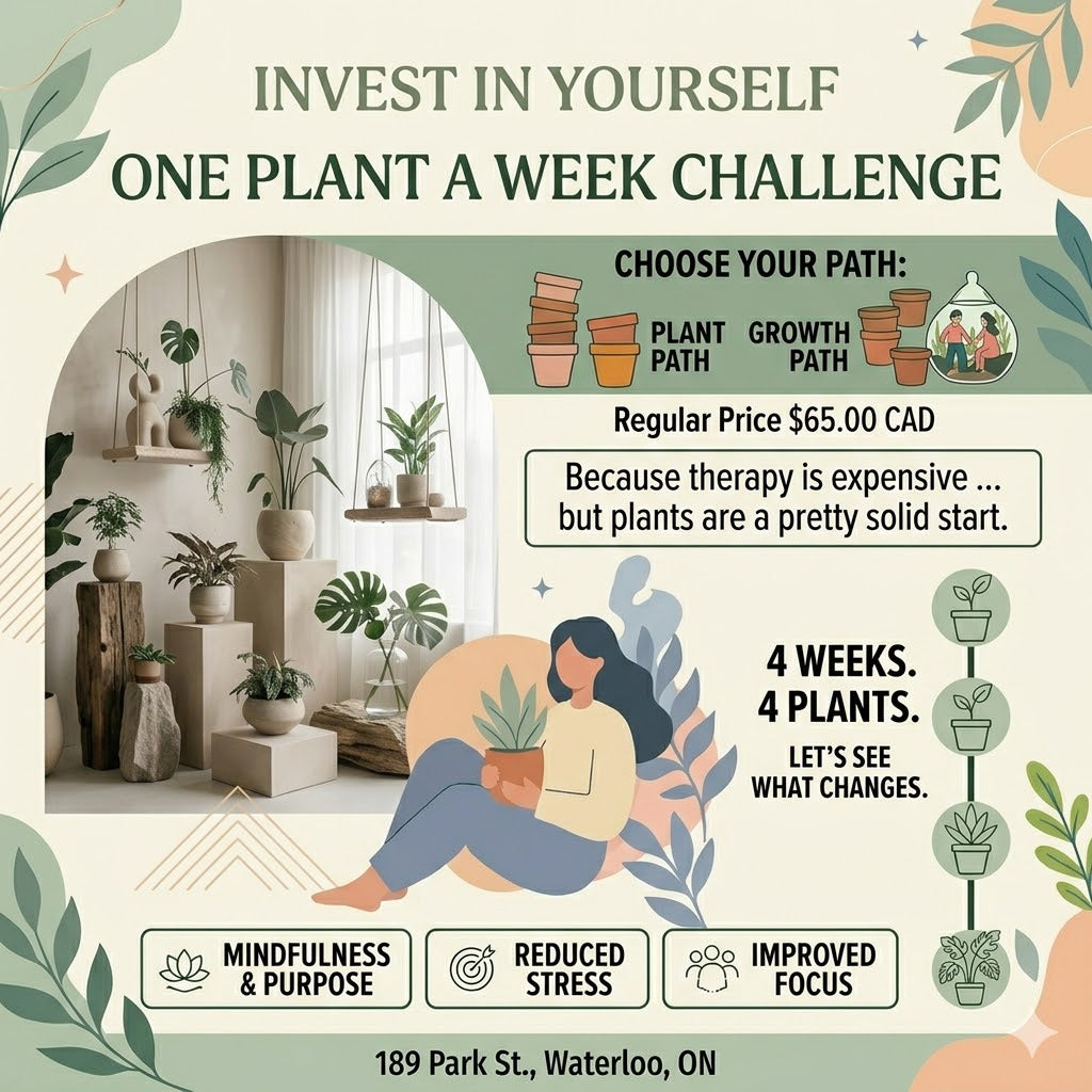 Invest in yourself One Plant a week challenge.