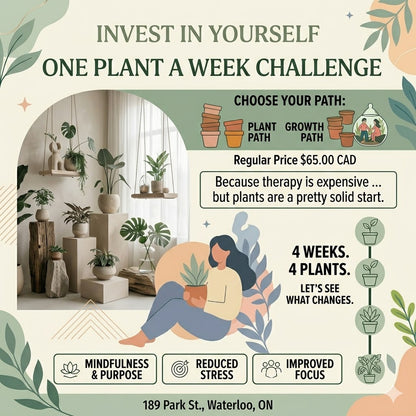 Invest in yourself One Plant a week challenge.