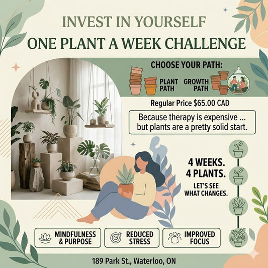 Invest in yourself One Plant a week challenge.