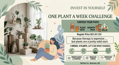 Invest in yourself One Plant a week challenge.