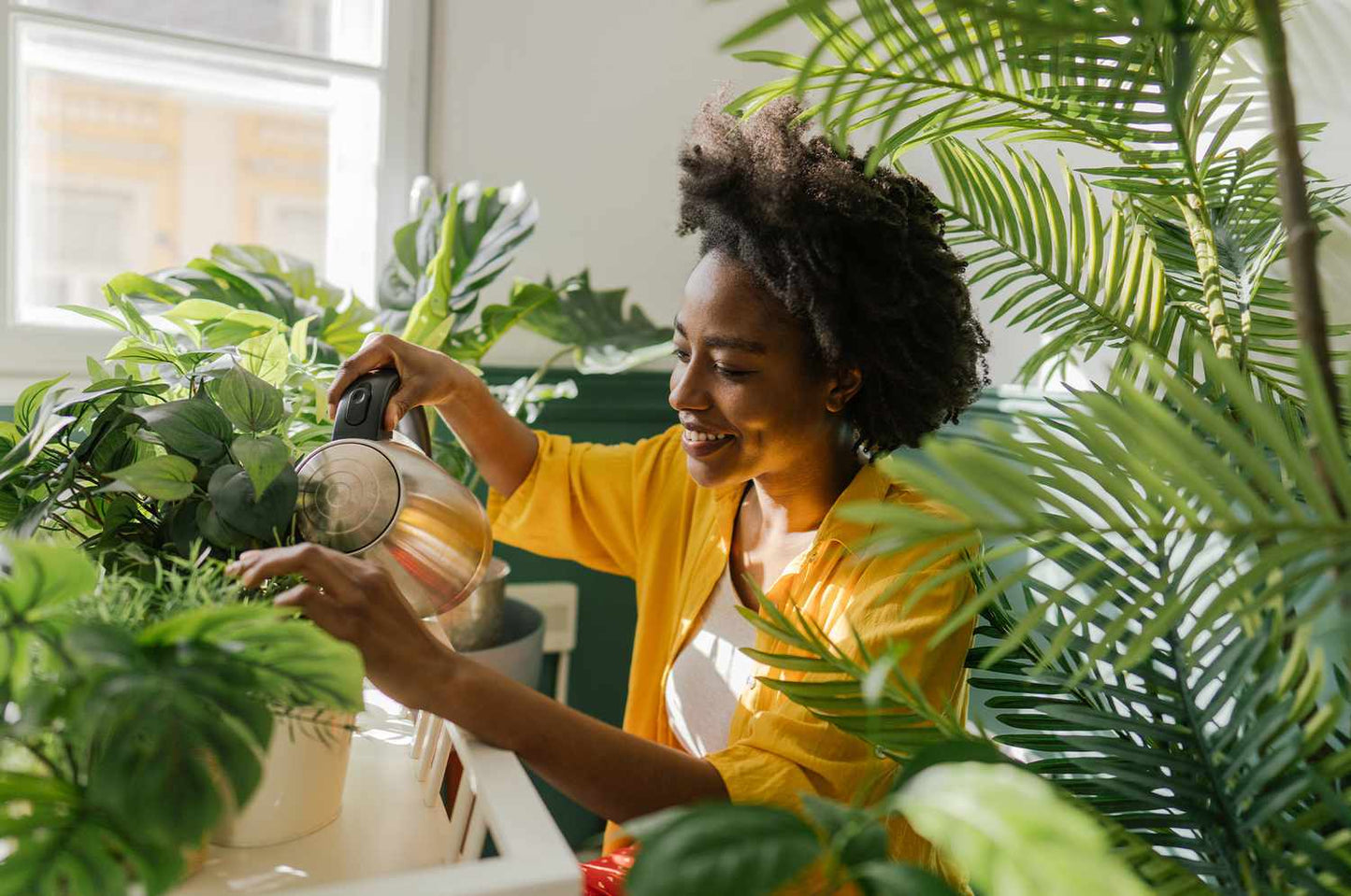 Watering 101: The Secret to Healthy, Happy Houseplants