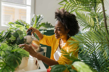 Watering 101: The Secret to Healthy, Happy Houseplants
