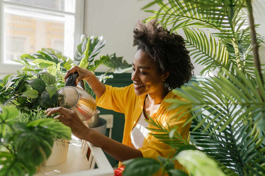 Watering 101: The Secret to Healthy, Happy Houseplants