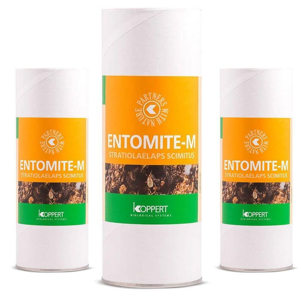 Koppert's Fungus Gnat Solutions: Entomite-M - Gold Leaf Botanicals