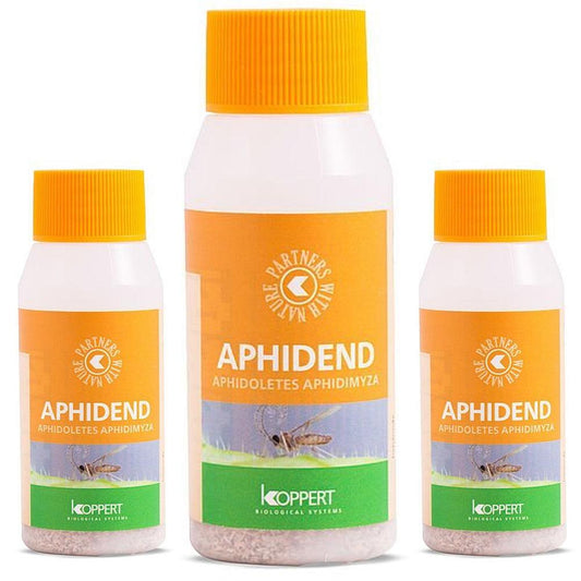 Koppert's Aphids Solutions: Aphidend - Gold Leaf Botanicals